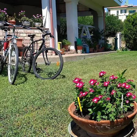 Il Cavalluccio Marino Bed & Breakfast Satriano