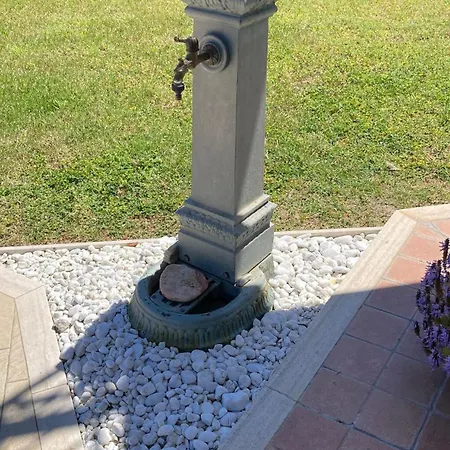 Il Cavalluccio Marino Bed & Breakfast Satriano